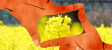 Photo-shoot・写真撮影（商品/メニュー/イメージなど）